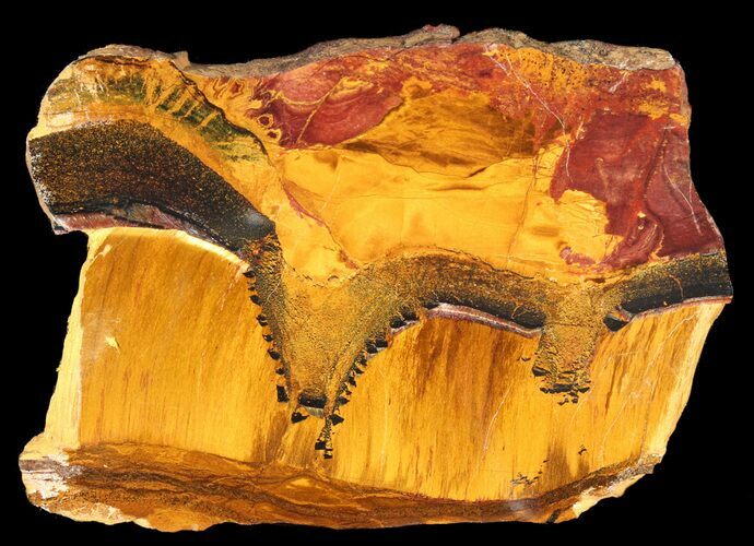 Marra Mamba Stromatolite - Mt Brockman ( Billion Years) #39176